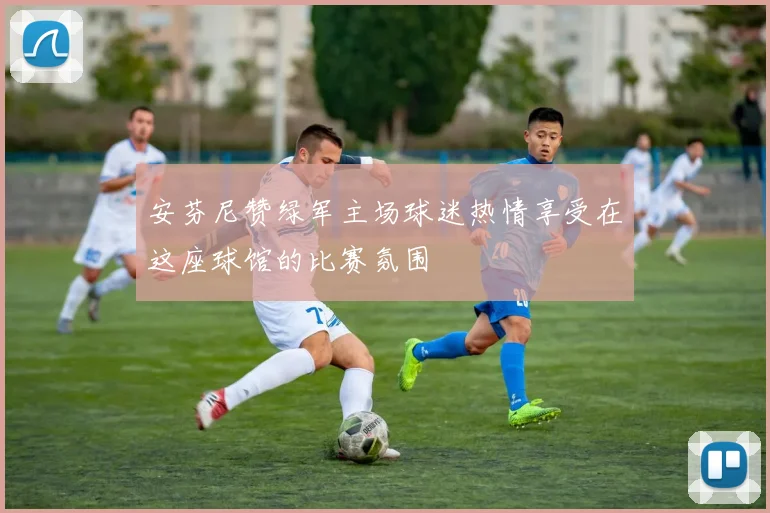 安芬尼赞绿军主场球迷热情享受在这座球馆的比赛氛围