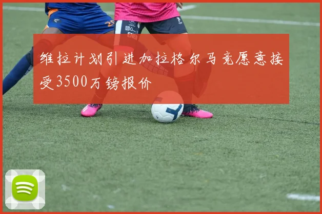 维拉计划引进加拉格尔马竞愿意接受3500万镑报价